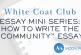 Essay Mini Series: How to Write the “Community” Essay